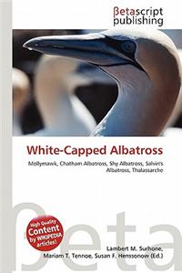 White-Capped Albatross