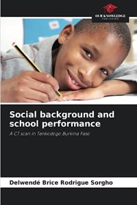 Social background and school performance