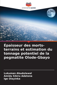 Épaisseur des morts-terrains et estimation du tonnage potentiel de la pegmatite Olode-Gbayo