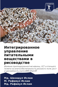 Интегрированное управление питательным&#