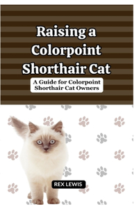 Raising A Colorpoint Shorthair Cat