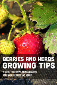 Berries And Herbs Growing Tips