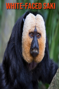 White-Faced Saki