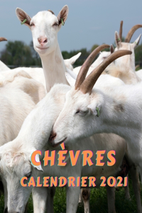 Chèvres Calendrier 2021