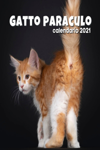 Gatto paraculo - calendario 2021