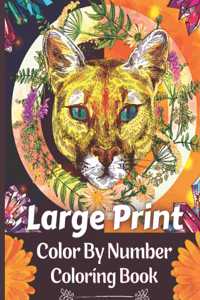 Large Print Color By Number Coloring Book