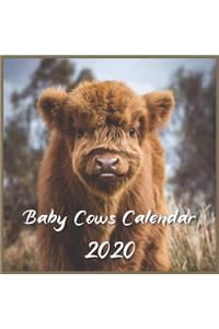 Baby Cow calendar 2020