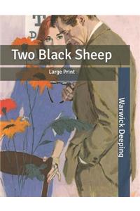 Two Black Sheep
