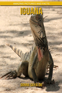 Iguana