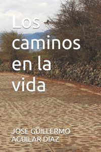 caminos en la vida