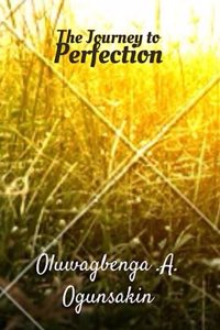 The Journey to Perfection