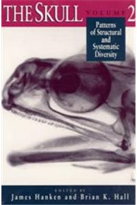 The Skull