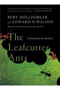 Leafcutter Ants