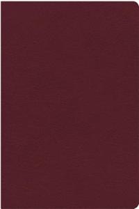 NKJV Study Bible, Bonded Leather, Burgundy, Indexed, Full-Color Edition