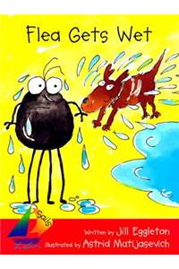 Flea Gets Wet
