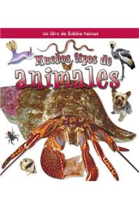 Muchos Tipos de Animales (Many Kinds of Animals)