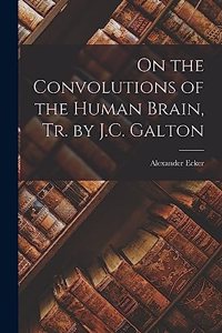 On the Convolutions of the Human Brain, Tr. by J.C. Galton
