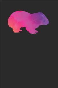 Wombat Space Silhouette