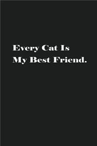 Every Cat Is My Best Friend.