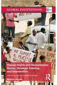 Human Rights and Humanitarian Norms, Strategic Framing, and Intervention