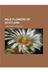 Wild Flowers of Scotland