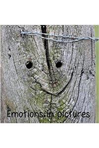 Emotions in Pictures 2018