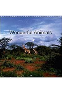 Wonderful Animals 2018