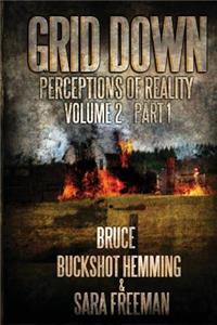 Grid Down Perceptions Of Reality Vol 2 Book 1