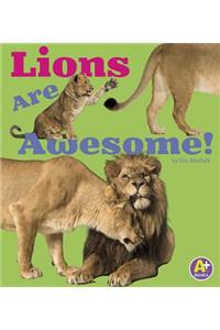 Lions Are Awesome!