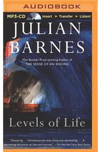 Levels of Life