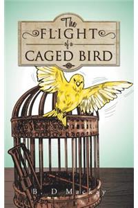 Flight of a Caged Bird