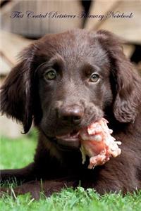Flat Coated Retriever February Notebook Flat Coated Retriever Record, Log, Diary, Special Memories, To Do List, Academic Notepad, Scrapbook & More