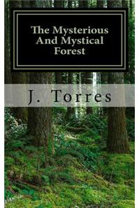 Mysterious And Mystical Forest