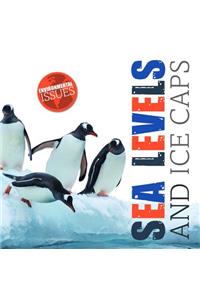Sea Levels and Ice Caps