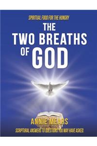 Two Breaths of God