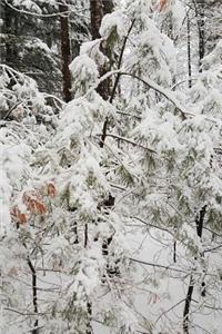 Journal Beautiful Winter Day Photography