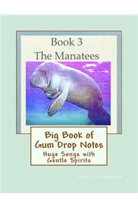 Big Book of Gum Drop Notes - Manatees - Book 3