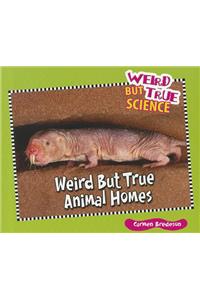 Weird But True Animal Homes