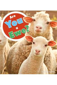 Are You a Ewe?