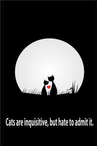 Cats are inquisitive, but hate to admit it.