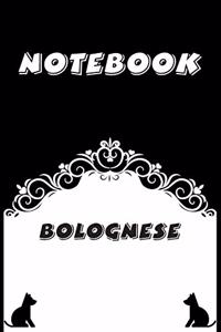 Bolognese Notebook