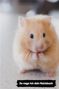 Da nage ich dein Notizbuch