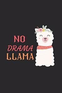 No Drama Llama Notebook