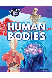 Human Bodies