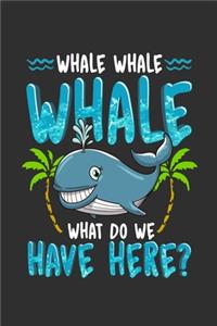 Whale Whale Whale What Do We Have Here