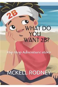 What do you want 2B?