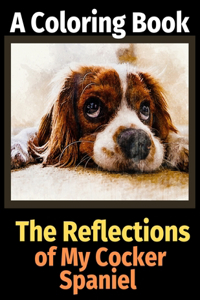 Reflections of My Cocker Spaniel