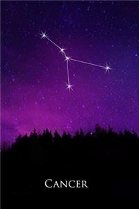 2020 Daily Planner Cancer Constellation Night Sky Astrology Symbol 388 Pages