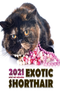 Exotic Shorthair 2021 Mini Cat Calendar