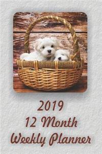 2019 12 Month Weekly Planner
